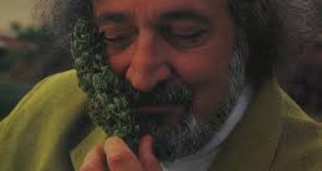Legendary renowned cannabis activist and author Jack Herer. Photo courtesy of Cannabis Culture Awards.