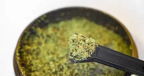 Close-up of green, ground cannabis in a grinder, accompanied by a black tool, highlighting the process of preparing cannabis for consumption.
